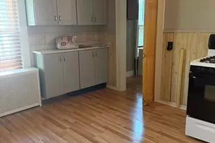 49 Carroll St, Chelsea, MA 02150 - Photo 29