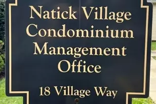 49 Village Brook Ln, Natick, MA 01760 - Photo 21