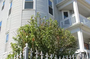 31 Topliff St, Boston, MA 02122 - Photo 1
