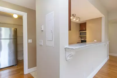 42 West Newton #424, Boston, MA 02118 - Photo 3