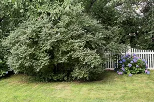 103 Eastwood Circuit, Boston, MA 02132 - Photo 27