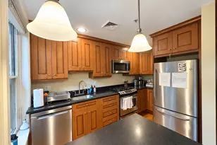 48 E Springfield St, Boston, MA 02118 - Photo 3