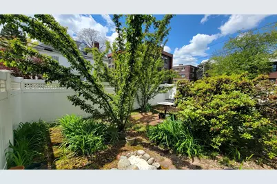 45 Auburn Street #3, Brookline, MA 02446 - Photo 15