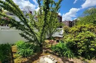 45 Auburn St, Brookline, MA 02446 - Photo 15