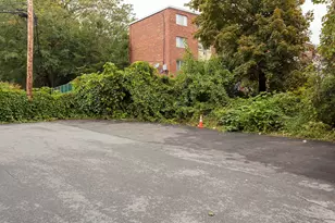 50 Seymour St, Boston, MA 02131 - Photo 15