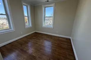 56 Seaver St, Boston, MA 02121 - Photo 3