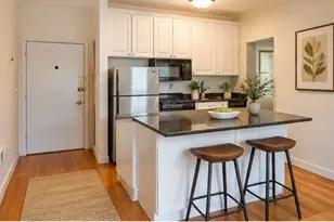 15-17 University Rd, Brookline, MA 02445 - Photo 3