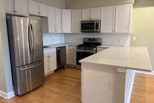 15 Guild St, Boston, MA 02119 - Photo 13