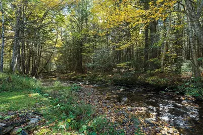 441 Dingle Rd, Worthington, MA 01098 - Photo 7