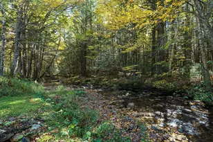 441 Dingle Rd, Worthington, MA 01098 - Photo 7