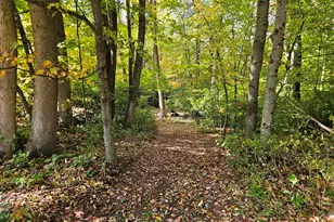 74 Elm St N, Barre, MA 01005 - Photo 21