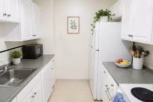 49 Marion St, Brookline, MA 02446 - Photo 7