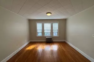 19 Everdean St, Boston, MA 02122 - Photo 13