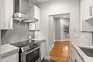 219 W Springfield St, Boston, MA 02118 - Photo 3