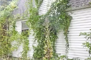 7 Linden St, Oxford, MA 01540 - Photo 5