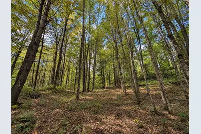 Lot 3 Ma-41, Richmond, MA 01254 - Photo 7
