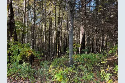 0 Pine Cone Lane Lot 28, Ludlow, MA 01056 - Photo 3