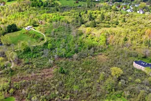 97 Luce Rd, Williamstown, MA 01267 - Photo 13