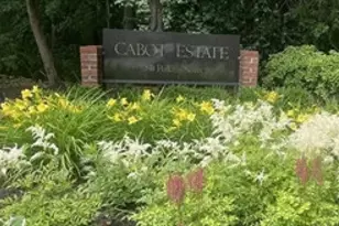 241 Perkins, Boston, MA 02130 - Photo 33