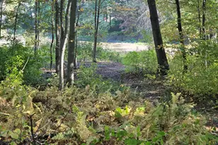 0 Sunny, Webster, MA 01570 - Photo 1