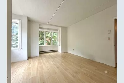 26 Ellingwood St #26, Boston, MA 02120 - Photo 13