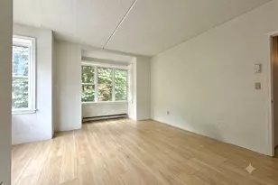 26 Ellingwood St, Boston, MA 02120 - Photo 13