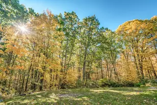 85 West St, Wendell, MA 01379 - Photo 5