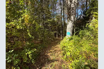 232 River Rd, Leyden, MA 01337 - Photo 7
