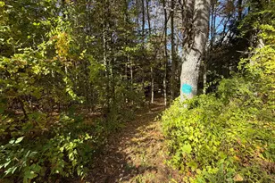 232 River Rd, Leyden, MA 01337 - Photo 7
