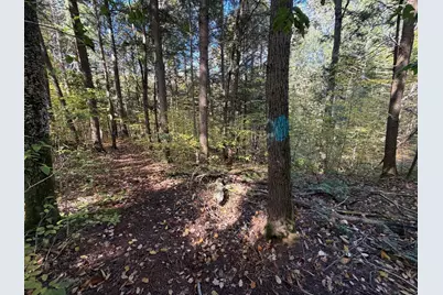 232 River Rd, Leyden, MA 01337 - Photo 9