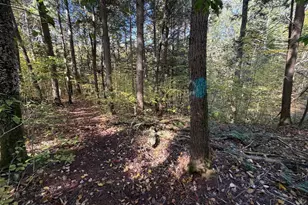 232 River Rd, Leyden, MA 01337 - Photo 9