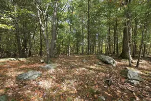 252 Leavitt St, Hingham, MA 02043 - Photo 29