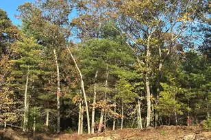 130 Fall, Franklin, MA 02038 - Photo 1