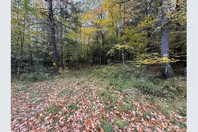 0 Old Stage Rd, Hatfield, MA 01038 - Photo 3