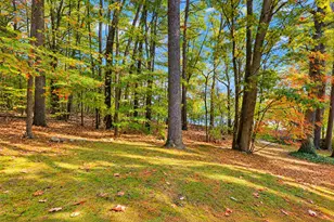 39 Highwood Dr, Franklin, MA 02038 - Photo 37