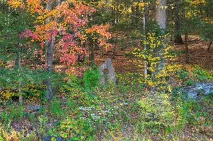 250 N Main St, Sunderland, MA 01375 - Photo 35