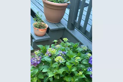 10 Ridgewood Ave, Southbridge, MA 01550 - Photo 37