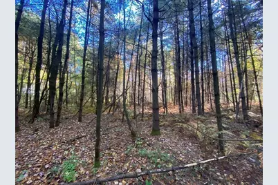 0 Michael Sears Rd Lot 2B, Belchertown, MA 01007 - Photo 7