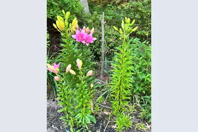 58 N. Wales Rd, Holland, MA 01521 - Photo 21