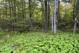 0 West St, Plainfield, MA 01070 - Photo 1
