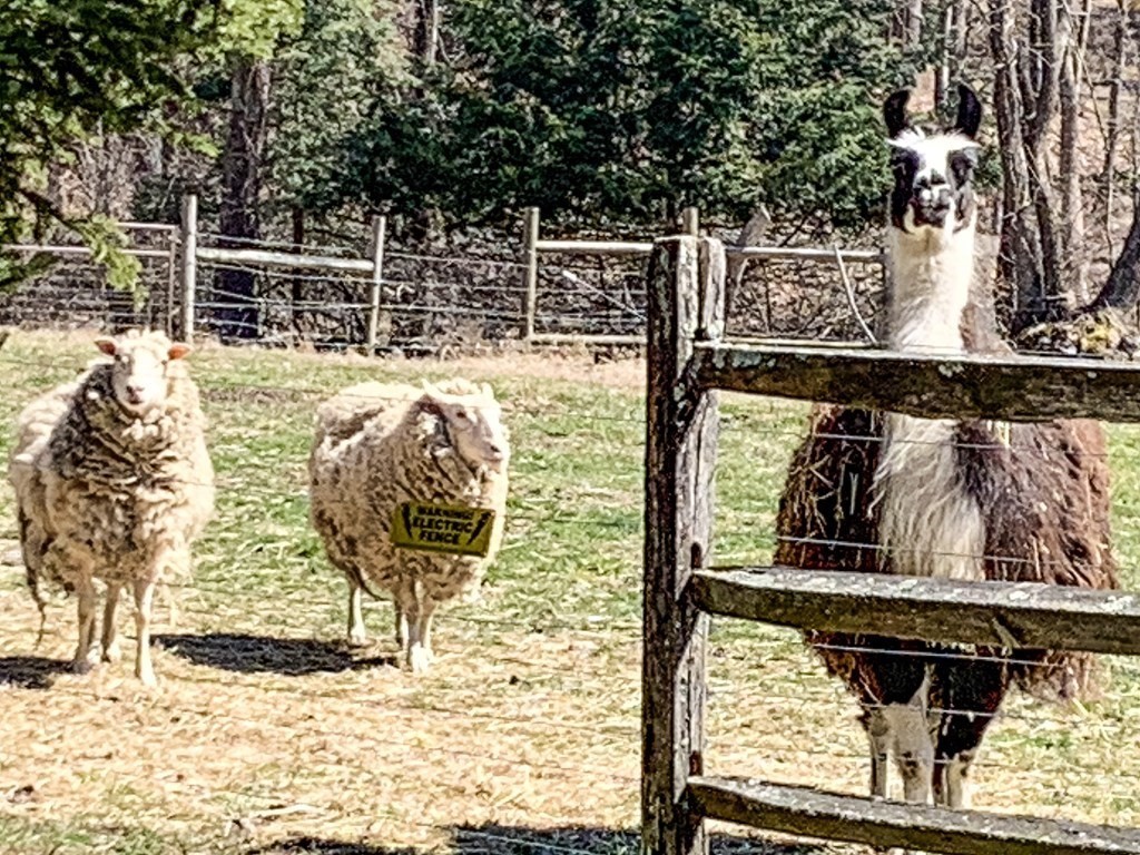 285 Main St, Boxford, MA 01921 MLS 73095248 Coldwell Banker