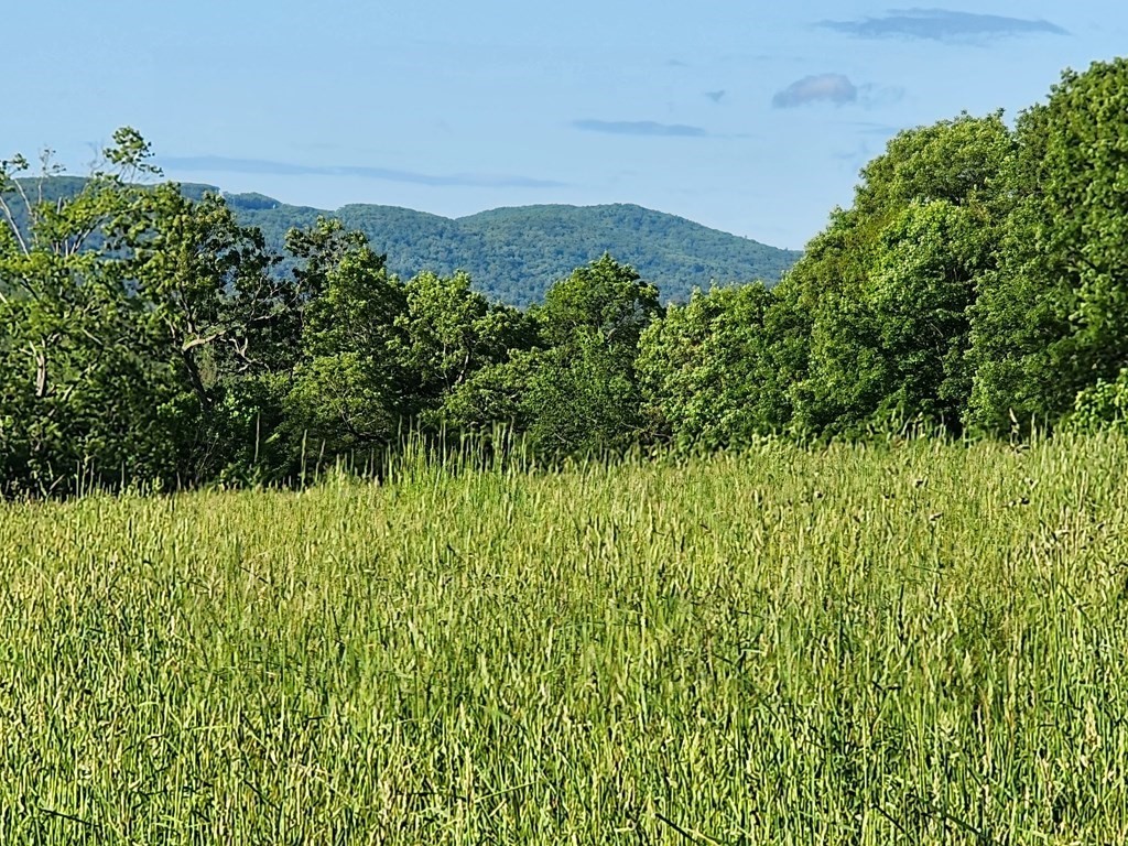 243 Joslyn Rd, Hardwick, MA 01037 MLS 73116061 Coldwell Banker