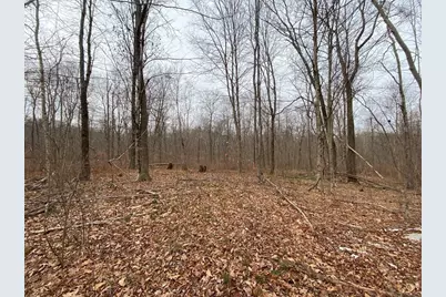 Lot 169-22 Beebe Rd, Monson, MA 01057 - Photo 1