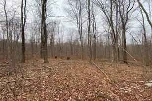 Lot 169-22 Beebe Rd, Monson, MA 01057 - Photo 1