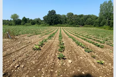 244 Pine St. (Lot 1), Rehoboth, MA 02769 - Photo 1