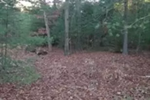 0 Root Rd, Westfield, MA 01085 - Photo 1