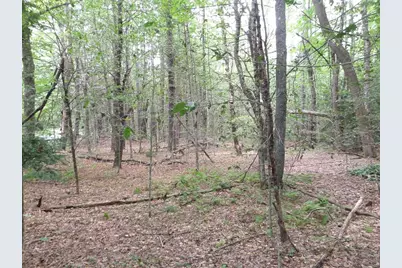 0 Damon Pond Rd, Chesterfield, MA 01012 - Photo 1