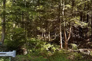 0 Main Rd, Montgomery, MA 01085 - Photo 1