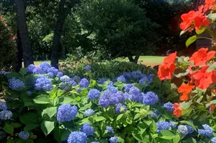 68 Mid-Iron Way, Mashpee, MA 02649 - Photo 1