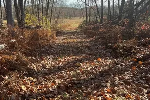 7 N Liberty St, Belchertown, MA 01007 - Photo 1